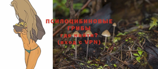 шишки Арсеньев