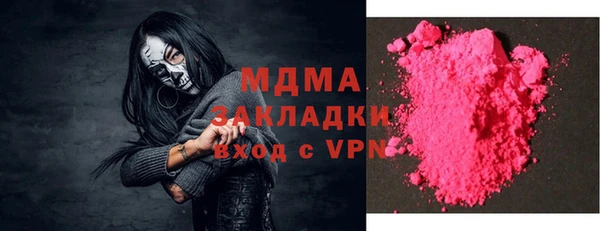 шишки Арсеньев