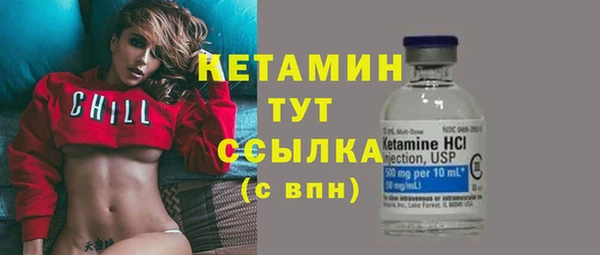 шишки Арсеньев