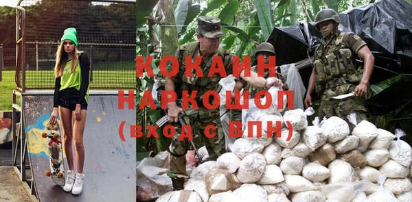 шишки Арсеньев